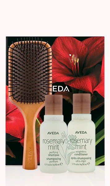 Aveda travel size Rosemary buy Mint Shampoo, Conditioner and brush set